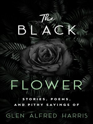 cover image of The Black Flower